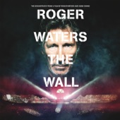 Roger Waters - Goodbye Blue Sky - Live