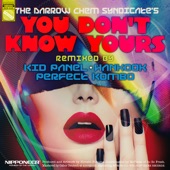 You Don't Know Yours (Kid Panel Remix) artwork