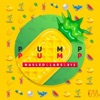 Pump - Single