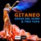 Gitaneo - David del Olmo & Two Yupa lyrics
