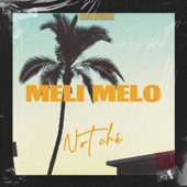 Meli Melo artwork