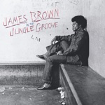 James Brown - Funky Drummer