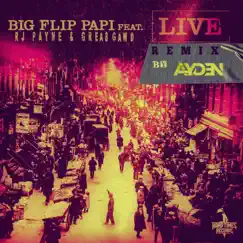Live (Remix) [feat. RJ Payne & GREA8GAWD] - Single by Big Flip Papi album reviews, ratings, credits
