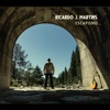 Ricardo J. Martins - Vira Virou (feat. Amadeu Magalhães)