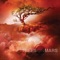 Ode to the Vulture (feat. Plini) - Trees On Mars lyrics