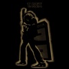 Electric Warrior (Expanded Edition) [2003 Remaster], 1971