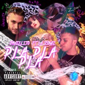 Pla Pla Pla (feat. La Zowi) artwork