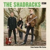 The Shadracks - No Time