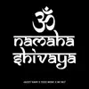 OM NAMAH SHIVAYA (feat. Tezzz Music & Mc Sky) - Single album lyrics, reviews, download
