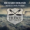 White Dolphins - Single