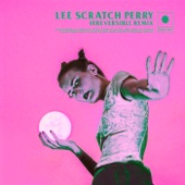 Irreversible (Lee "Scratch" Perry Remix) artwork