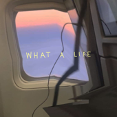 What a Life - Scarlet Pleasure Cover Art