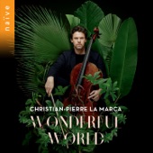 What a Wonderful World (Arr. for Cello, Piano & Strings) artwork