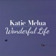 WONDERFUL LIFE cover art