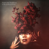 From the Shadows (DJ Mix) artwork