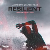Resilient (Liran Shoshan Remix) artwork
