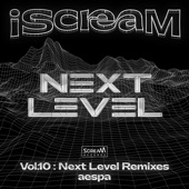 Next Level (Habstrakt Remix) artwork