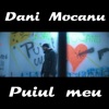 Puiul Meu - Single