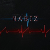 Nabız artwork