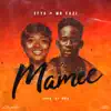 Mamee (feat. Mr Eazi) - Single album lyrics, reviews, download