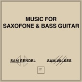 Sam Gendel;Sam Gendel & Sam Wilkes;Sam Wilkes - GREETINGS TO IDRIS