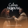 Calma, Respira (feat. Péricles) - Single