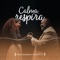 Calma, Respira (feat. Péricles) - Drik Barbosa lyrics
