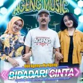 Bidadari Cinta (feat. Ky Ageng) artwork