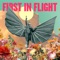 First In Flight artwork