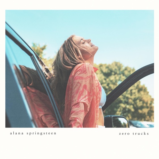 Cover artwork for Zero Trucks