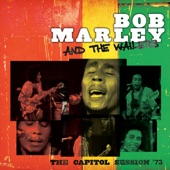 The Capitol Session '73 (Live) artwork