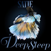 Satie Deep Sleep artwork