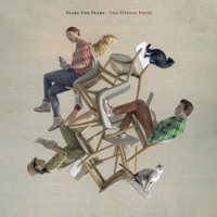 Tears For Fears Ablum Cover