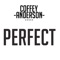 Perfect - Coffey Anderson lyrics