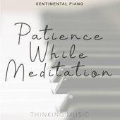 Patience While Meditation - Thinking Music