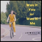 Was it You or Was it Me artwork