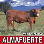 Toro y Pampa (Remasterizado 2021) artwork