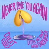 Never Love You Again (with Little Big Town & Bryn Christopher) artwork