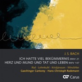 J.S. Bach: Ich hatte viel Bekümmernis, Cantata BWV 21; Herz und Mund und Tat und Leben, Cantata BWV 147 artwork