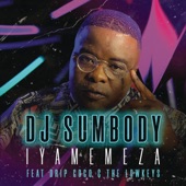 Iyamemeza (feat. Drip Gogo & The Lowkeys) artwork