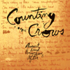 Counting Crows - Mr. Jones artwork