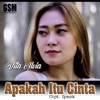 Apakah Itu Cinta - Single