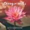 Affermazioni di guarigione - Meditazione zen musica lyrics