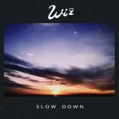 Slow Down - Single by Wiz album reviews, ratings, credits