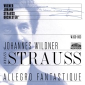 Allegro fantastique - Live recorded at Musikverein Vienna (Live) artwork