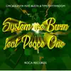 Stream & download System We Burn (feat. Timothy Wisdom, Busta, Peace One) - Single