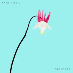 Delicate - EP - Katie Herzig