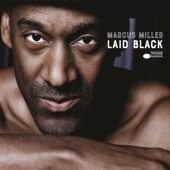 Laid Black artwork