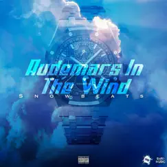 Audemars in the Wind - Single by Snowbeats album reviews, ratings, credits