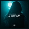 (I Just) Died in Your Arms - Single